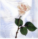 s3111 - Schneeweisschen - Napkins - Package - 20 pcs.