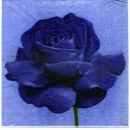 s3123 - Velvet Rose - blue - Servietten - Packung - 20 Stück