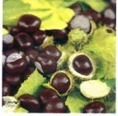 s3318 - Castania - Servietten - Packung - 20 Stück