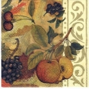 s3320 - Fruitland - Servietten - Packung - 20 Stück