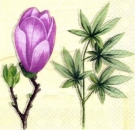 s3534 - Magnolie - Servietten - Packung - 20 Stück