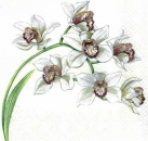 s3537 - Orchideenzweig - Servietten - Packung - 20 Stück