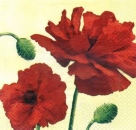 s3695 - Garden Poppies - yellow - Servietten - Packung - 20 Stück