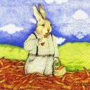 s4010 – Max – Servietten – Packung – 20 Stück