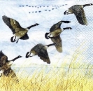 s4027 – Canadische Wildgänse - Servietten – Packung – 20 Stück
