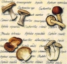 s4121 - Mushrooms - cream - Servietten - Packung - 20 Stück