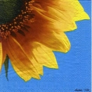 s4234 - Helianthus - azur - Servietten - Packung - 20 Stück
