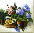 s4469 – Blumen – Packung – 20 Stück