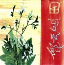s4909 - Asiatische Blüte - Servietten - Packung - 30 Stück