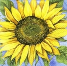 s4945 - Sonnenblume - Servietten - Packung - 20 Stück