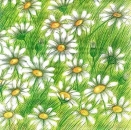 s4x0248 - Blumenwiese - MOLCA - Servietten - Packung - 20 Stück