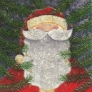 s4x0933 - St. Nick - USA - Servietten - Packung - 20 Stück