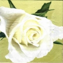 s5053 - White Rose - green - Servietten - Packung - 20 Stück