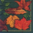 s5062 - Leaves - green - Napkins - Package - 20 pcs.