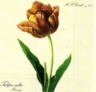 s5279 - Tulipa - Serviette - Restbestand - Stückpreis