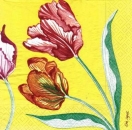 s5321- Tulpe - Servietten - Packung - 15 Stück