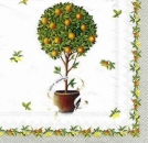 s5376 – Orangenbäumchen – Servietten – Packung – 20 Stück