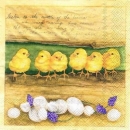 s5416 - Poussins - Servietten - Packung - 20 Stück