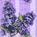 s5436 - Lilac - Servietten - Packung - 20 Stück