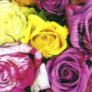 s5645 - Rosenlust - Napkins - Package - 20 pcs.