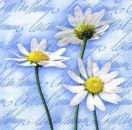 s5663 - Blooming Daisies - blue - Napkins - Package - 20 pcs.