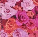 s5749 - Rosefield - Servietten - Packung - 20 Stück