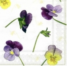 s5776 - Violets - creme - Napkins - Package - 20 pcs.