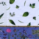 s5784 - Herb Season - blue - Napkins - Package - 20 pcs.