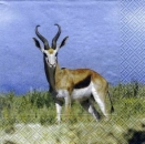 s5821 - Springbock - Servietten - Packung - 20 Stück