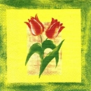 s6167 - Tulip - Servietten - Packung - 20 Stück