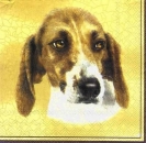 s6216 - Alistor - yellow - Servietten von IHR - Packung - 20 Stück