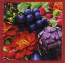 s6300 - Natures Plenty - Servietten - Packung - 20 Stück