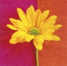 s6533 - Lena - Napkins - Package - 20 pcs..