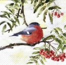 s6632 - Gimpel von Mona Svaerd - Servietten - 33 x 33 cm - Packung - 20 Stück