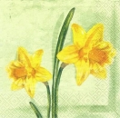 s6682 - Charming  Flower - oliv - Napkins - Package - 20 pcs.