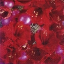 s6737 - Weihnachtliche Amaryllisblüten - Servietten - Packung - 20 Stück.