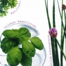 s6840 - Basilicum und Co. - Servietten - Packung - 20 Stück