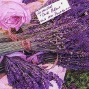 s6990 – Lavendelstrauß - Napkins - Package - 20 pcs.