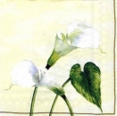 s3453 - Arum Lily - cream - Servietten - Packung - 20 Stück