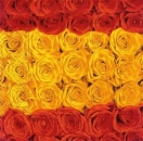 s7051 - Rosentraum - gelb/orange - Napkins - Package - 20 pcs.