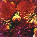 s7175 - Strawflower - rot - Servietten - Packung - 20 Stück