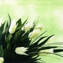 s7189 - Classic Tulips - green - Servietten - Packung - 20 Stück.