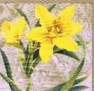 s7472 - Narzissen - Napkins - Package - 20 pcs..