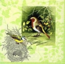 s7492 - Birds Nest - light green - Servietten - Packung - 20 Stück