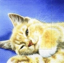 s7512 - Dozy Cat - Servietten - Pckung - 20 Stück
