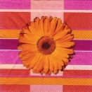 s7533 - Gerbera - Napkins - Package - 20 pcs.