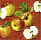 s7653 - Melrose - terracotta - Napkins - Package - 20 pcs.