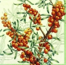 s7665 - Sanddorn - green - Napkins - Package - 20 pcs.