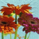 s7988 - Blumenmeer - Napkins - Package - 20 pcs..