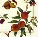 s8125 - Evesham - ivory - Napkins - Package - 20 pcs.